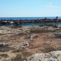 фото из отзыва ID 1518244