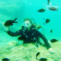 фото из отзыва ID 1518465