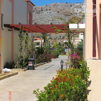 фото из отзыва ID 1518872