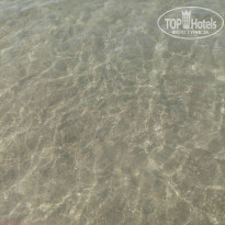 фото из отзыва ID 1518901