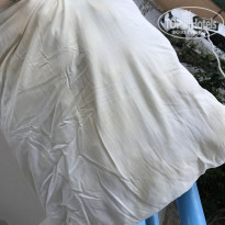 фото из отзыва ID 1519090