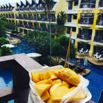 фото из отзыва ID 1519215