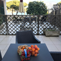 фото из отзыва ID 1519216