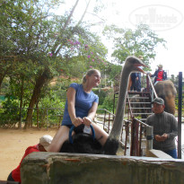 фото из отзыва ID 1519300