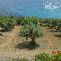 фото из отзыва ID 1519330