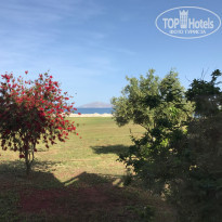 фото из отзыва ID 1519115