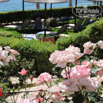 фото из отзыва ID 1519544