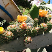 фото из отзыва ID 1519576