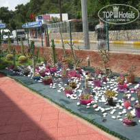 фото из отзыва ID 1519627