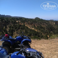 фото из отзыва ID 1519798