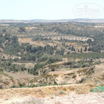 фото из отзыва ID 1519804