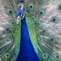 фото из отзыва ID 1519846