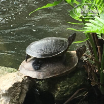 фото из отзыва ID 1519846