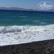 фото из отзыва ID 1519874