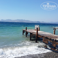 фото из отзыва ID 1519874