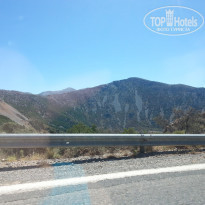 фото из отзыва ID 1519890