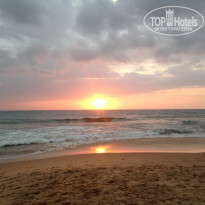 фото из отзыва ID 1519894