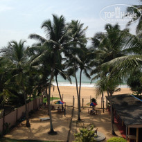 фото из отзыва ID 1519894