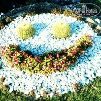 фото из отзыва ID 1519931