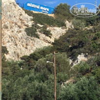 фото из отзыва ID 1519952