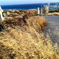 фото из отзыва ID 1518288