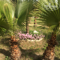 фото из отзыва ID 1514965