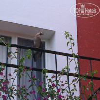 фото из отзыва ID 1519884