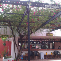 фото из отзыва ID 1519884