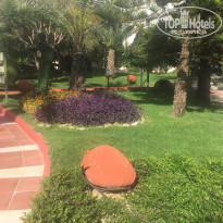 фото из отзыва ID 1516570