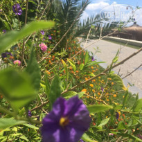 фото из отзыва ID 1516570