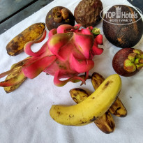 фото из отзыва ID 1519072