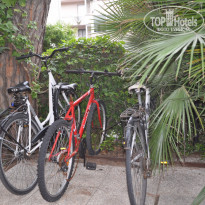 фото из отзыва ID 1519960