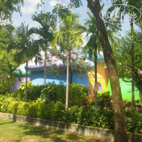 фото из отзыва ID 1512580