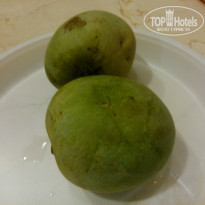 фото из отзыва ID 1518504