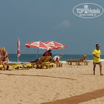 фото из отзыва ID 1518504