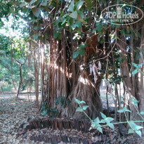 фото из отзыва ID 1518504