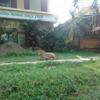 фото из отзыва ID 1518504