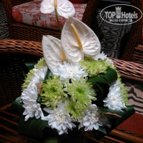 фото из отзыва ID 1518504