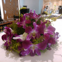 фото из отзыва ID 1518504