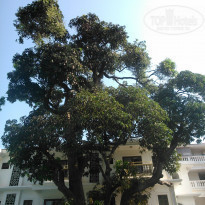 фото из отзыва ID 1518504