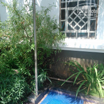 фото из отзыва ID 1518504