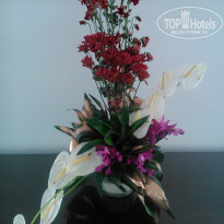 фото из отзыва ID 1518504