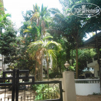 фото из отзыва ID 1518504