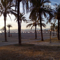 фото из отзыва ID 1518814