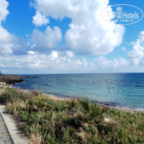 фото из отзыва ID 1516649