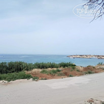 фото из отзыва ID 1516649