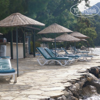 фото из отзыва ID 1517920