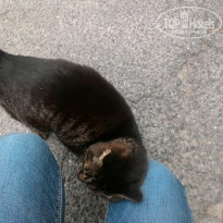 фото из отзыва ID 1518275