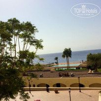 фото из отзыва ID 1519517