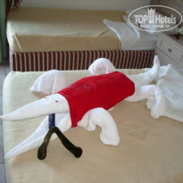 фото из отзыва ID 15242